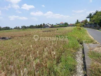 Land For Sale Or Lease In Nyambu, Tabanan, Udb 042