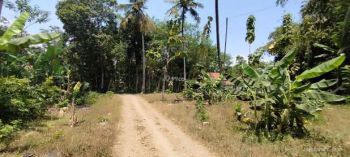 Tanah Bojong Pekalongan Siap Bangun Hunian, Legalitas SHM Siap Balik Nama