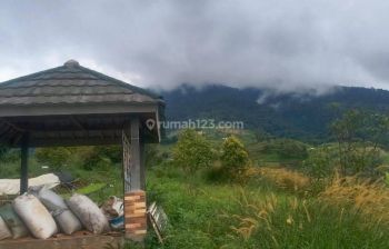 Tanah Trategis untuk vila berkebun 100rb/m Cijeruk bogor