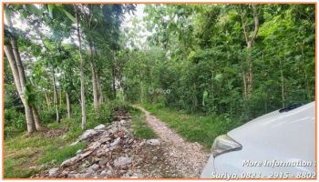 Jual Tanah Piyungan Siap Nego Dekat Polsek Piyungan