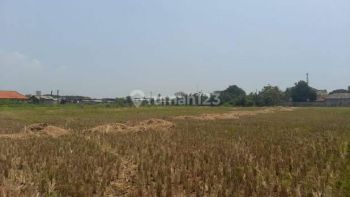 Tanah Sawah Di Pasilian,Kronjo-Lokasi 50 Meter Dari Jl.Raya Kronjo Dekat Kantor