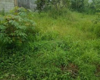 Dijual tanah di kota bogor