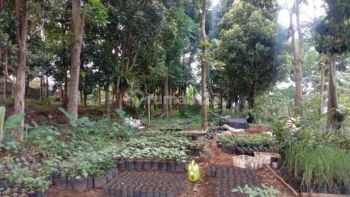 Jual cepat tanah cijeruk murah best view shm