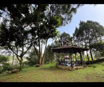 Villa 4000 mtr dgn private pool dan taman luas yg asri di jual