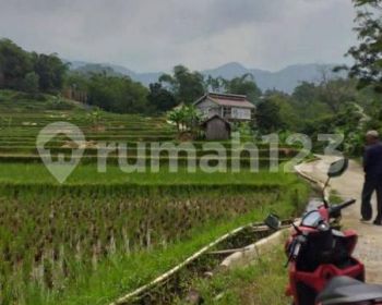 Tanah sawah rata untuk villa+gazebo view lepas ke gunung