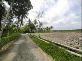 Kapling Murah 1 Jt an Temon Wates Jogja Barat, Dekat Exit Tol Bandara Yia