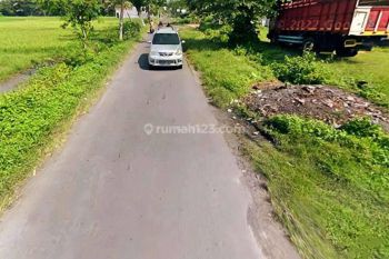 Pekarangan di sidoagung godean luas 410m lebar 15m linkungan kuliner & perumahan