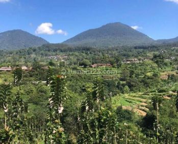 Dijual Tanah View Bukit Dan Gunung Di Baturiti Bedugul Bali