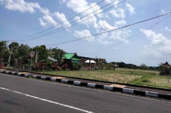 Tanah 17 Are di Jalan Utama Tanah Lot Beraban Tabanan