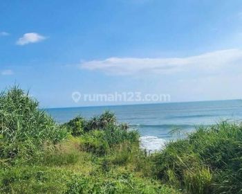 Limited Edition Tanah Langka Los Pantai Tebing Di Kawasan Pantai Nyanyi