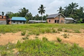 Tanah 100 juta / Kavling dekat Jamtos