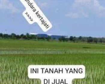 Dijual Tanah Sawah Di Kertajati Majalengka Jawa Barat