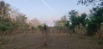 Nunggalan Pecatu for Lease