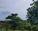 thumbnail-sunday-beach-club-ungasan-full-view-land-for-lease-1