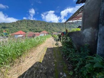 Dijual tanah murah view danau buyan bedugul harga nego