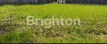 TANAH  Grand Eastwood CITRALAND