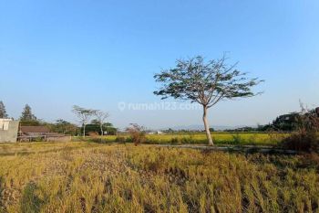 Dijual Tanah Harga Terjangkau Dekat Umbul Pluneng