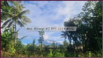 Tanah Jogja 100m Jl. Grogolan 5menit Uii Jl.kaliurang Sleman