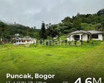 Villa Lama Layak Huni Di Puncak Bogor