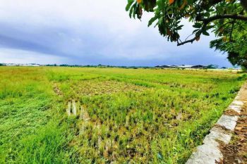 Ready Tanah Nempel Jalan Raya, Cocok untuk Usaha, 6 Menit ke Alun-alun Batang