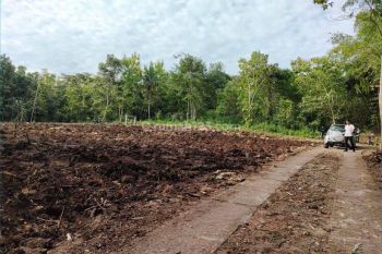 Dekat Jl Jogja Wates Area Pabrik Industri Sentolo Cocok Kost