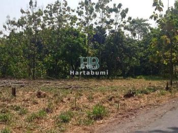 MURAH Tanah Pekarangan Dekat Bandara Dhoho Kediri