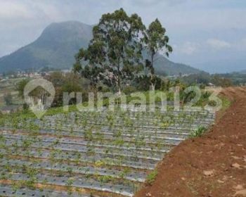 TANAH VIEW MENAWAN, COCOK UNTUK VILLA, RESORT, HOTEL, CAFE, CAMPING GROUND, DLL