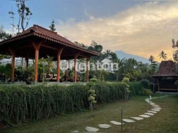 KEBUN MELON DAERAH SALATIGA DENGAN 3 RUMAH JOGLO