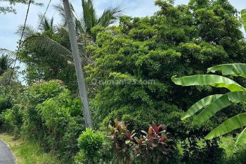 Di Jual Tanah Cocok Untuk Villa Di Dekat Pantai Soka Tabanan