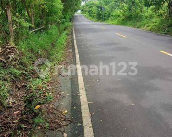 Nyang - Nyang Land for Lease