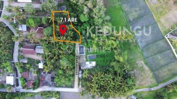Langkah Tanah di Pantai Kedungu, Desa Bengkel, Tabanan 710 m²