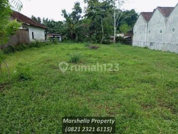 Tepi Aspal, Dekat Pasar Tempel Sleman Yogyakarta