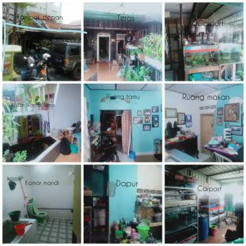 Rumah Pusat Kota Semarang