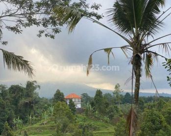 Dijual Tanah di Jatiluwih Penebel Tabanan View Sawah Gunung Laut