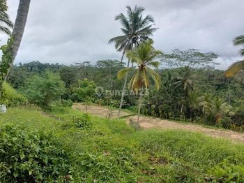 Dijual Tanah Special Lokasi Tampak Siring Gianyar
