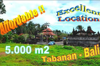 Pinggir Jalan Aspal 5,000 M2 Tanah Kering Siap Bangun