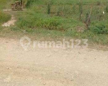 Tanah Muara Gembong Kab Bekasi