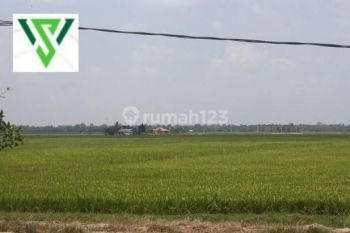 Tanah kavling murah 19,93jt/m graha Family Pakuwon Indah