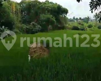 [TEPI JL PROV-BOGOR-CARIU] 40ha Potensi Berkembang Pesat