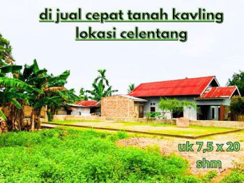 tanah kaving lokasi celentang