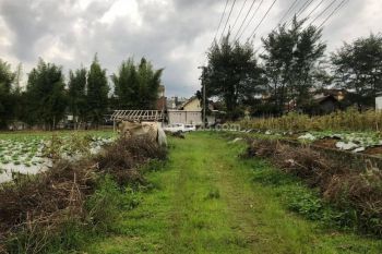 Tanah Siap Bangun Dekat Kampus Uin Kota Malang