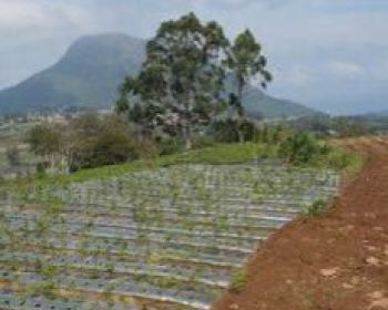 TANAH VIEW MENAWAN, COCOK UNTUK VILLA, RESORT, HOTEL, CAFE, CAMPING GROUND, DLL