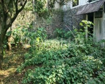 Tanah Matang di Jalan Agronomi Cigadung Bandung