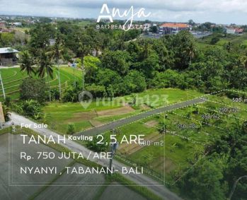 Tanah di Nyanyi Tabanan, Badung SHM 250 m²