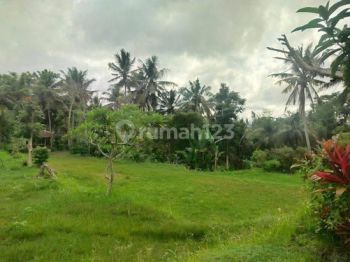 Tanah View Sawah Abadi di Lodtunduh Ubud