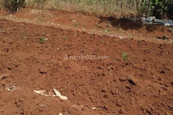 Tanah Kavling di Cibinong. Promo Cicil 12x Tanpa Bunga