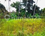 thumbnail-tanah-disewakan-di-seseh-4-are-shm-yellow-zone-4