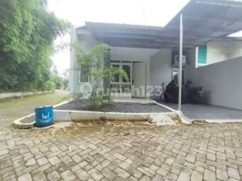 Rumah Rapi siap huni di kepompongan