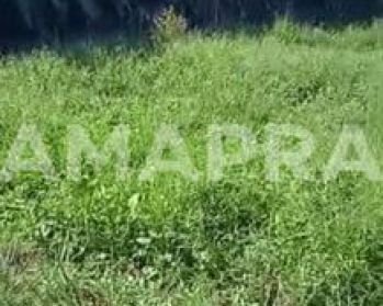 Dijual Tanah 3 Are Hadap Barat Dewi Sri Kuta Dekat Kerobokan