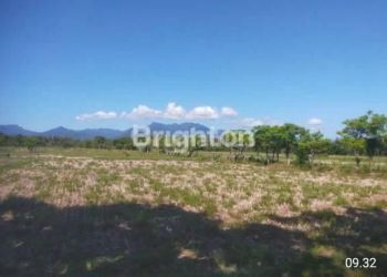 Tanah seluas 196,30 are berlokasi di desa Kaliakah Kecamatan Negara Kabupaten